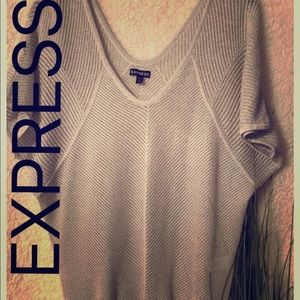 Express ◽️ silver sparkly top ◽️ sz small ◽️v-neck